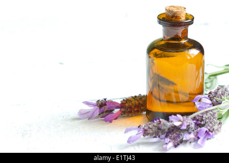 Lavanda cosmetici spa per la cura del corpo composizione astratta nozione Foto Stock