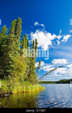 Little Deer Lake, Lac La Ronge Parco Provinciale, Northern Saskatchewan, Canada Foto Stock