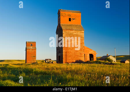 Vecchia granella ascensori , città fantasma di Neidpath, Saskatchewan, Canada Foto Stock