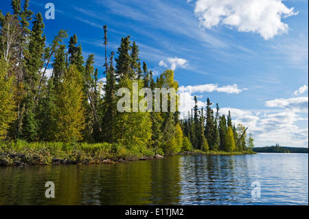 La foresta di abete rosso lungo il lago, Little Deer Lake, Lac La Ronge Parco Provinciale, Northern Saskatchewan, Canada Foto Stock