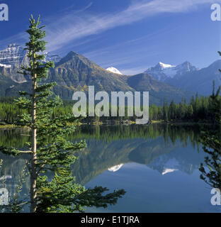 Riflessione di Herbert Lago , Autostrada #93 , vicino al Lago Louise, il Parco Nazionale di Banff , Montagne Rocciose Foto Stock