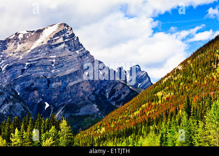 Montagna nel paese di Kananaskis Alberta, con il coleottero del pino-alberi uccisi. Foto Stock