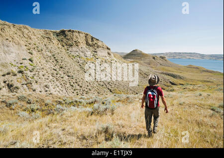 Escursionista, sud e sulla Valle del Fiume Saskatchewan vicino Beechy, Saskatchewan, Canada Foto Stock