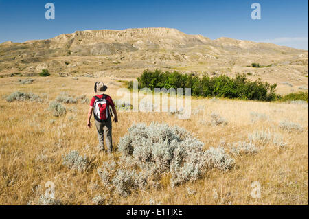 Escursionista, sud e sulla Valle del Fiume Saskatchewan vicino Beechy, Saskatchewan, Canada Foto Stock