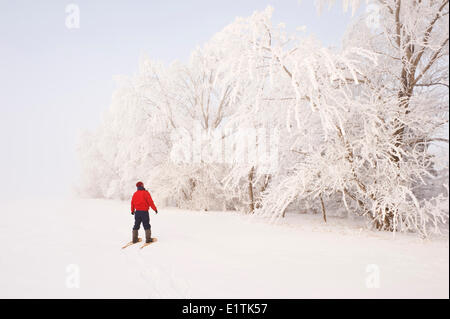 Un uomo di racchette da neve verso il gelo alberi coperti in shelter cinghia, vicino a cuochi Creek, Manitoba, Canada Foto Stock