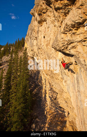 Un uomo si arrampica il percorso dello sport il fuoco nel cielo 12b al tramonto, Echo Canyon, Canmore, Alberta, Canada Foto Stock