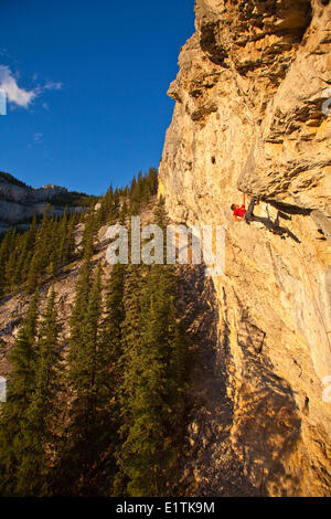 Un uomo si arrampica il percorso dello sport il fuoco nel cielo 12b al tramonto, Echo Canyon, Canmore, Alberta, Canada Foto Stock