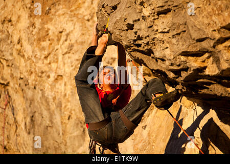 Un uomo si arrampica il percorso dello sport il fuoco nel cielo 12b al tramonto, Echo Canyon, Canmore, Alberta, Canada Foto Stock