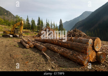 Una chiara definizione di registrazione, spotted owl la distruzione degli habitat, la frammentazione e la perdita di habitat, Lillooet, BC, Canada Foto Stock