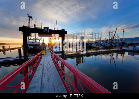 Sunrise sulla flotta peschereccia commerciale presso la Marina Comox, Comox, Isola di Vancouver, British Columbia, Canada. Foto Stock