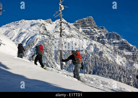 Un gruppo di sci tourer in corrispondenza del Roger Pass, il Parco Nazionale di Glacier, BC Foto Stock