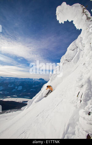 Un maschio snowboarder spruzzi alcuni profondi polvere mentre il splitboardingu a Revelstoke Mountain Resort Backcountry, Revelstoke, BC Foto Stock