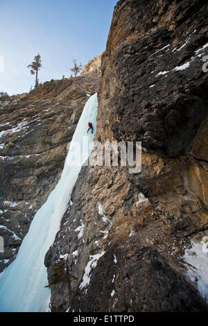 Un maschio ice climber sul sogno su WI 4, Red Deer River, AB Foto Stock