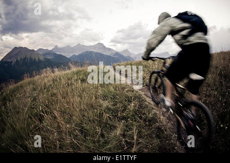 Un uomo mountain bike vicino a Canmore, AB Foto Stock