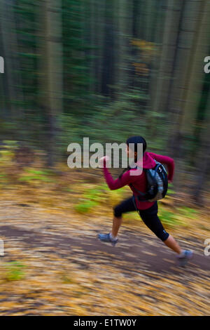 Un giovane, montare donna trail running la Highline Trail in Canmore, AB Foto Stock