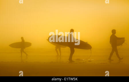 Silhouette di surfers nella nebbia, Long Beach, Pacific Rim National Park, l'isola di Vancouver, British Columbia, Canada Foto Stock