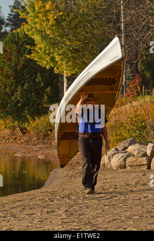 Uomo maturo porta canoa da acqua, Oxtongue Lago, Muskoka, Ontario, Canada. Foto Stock