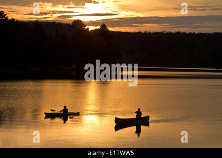 Due uomini paddle canoa e kayak sul lago Oxtongue a sunrise, Muskoka, Ontario, Canada. Foto Stock