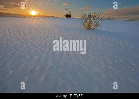 White Sands National Monument, Nuovo Messico, STATI UNITI D'AMERICA Foto Stock