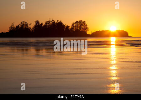 Chesterman spiaggia dell isola di Frank al tramonto vicino a Tofino British Columbia Canada sull'Isola di Vancouver in Clayoquot Sound UNESCO Foto Stock