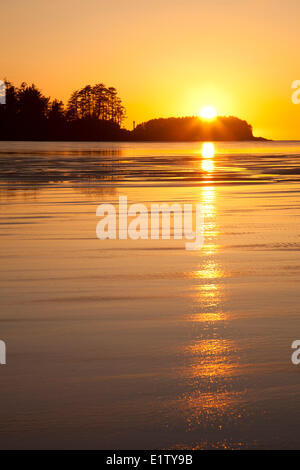 Chesterman spiaggia dell isola di Frank al tramonto vicino a Tofino British Columbia Canada sull'Isola di Vancouver in Clayoquot Sound UNESCO Foto Stock