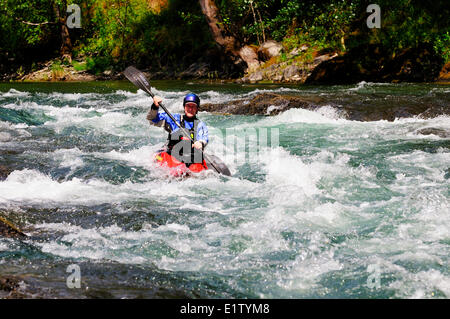 Acqua Bianca kayaker scendendo lungo il corso del fiume Cowichan vicino Skutz Cade vicino al lago Cowichan, BC. Foto Stock