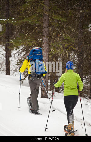 Un giovane campestre famiglia andando per le racchette da neve a Peter Lougheed Parco Provinciale, Kananaskis AB Foto Stock