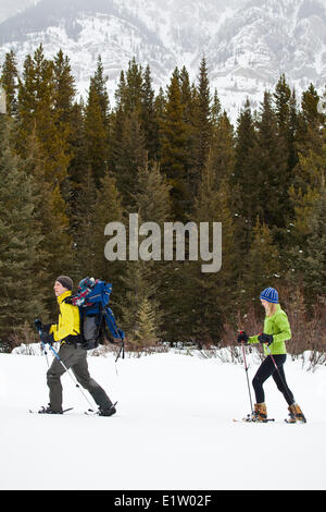 Un giovane campestre famiglia andando per le racchette da neve a Peter Lougheed Parco Provinciale, Kananaskis AB Foto Stock