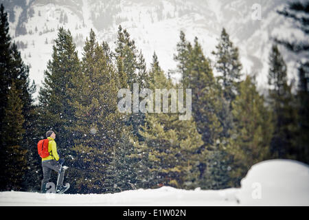 Un giovane uomo di fare escursioni con le racchette da neve a Peter Lougheed Parco Provinciale, Kananaskis AB Foto Stock