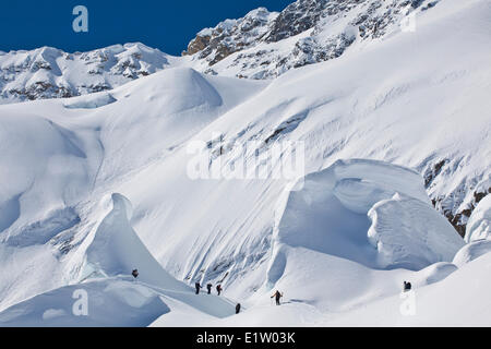 Un gruppo sci alpinismo fino il ghiacciaio di Diamante, ghiacciaio Lodge, Golden, BC Foto Stock