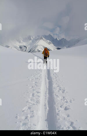 Un maschio di backcountry rider tour di sci torna al lodge dopo una giornata di sole in canadese Rockies. Ghiacciaio Lodge, Golden, BC Foto Stock