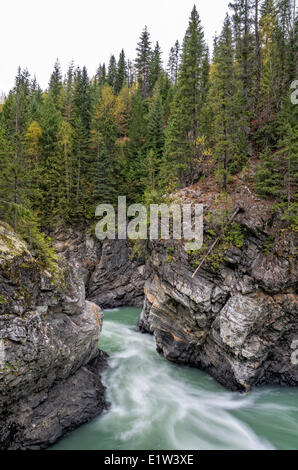 Thompson River in un piccolo inferno del Gate del Parco Provinciale vicino alla città di Fiume Azzurro in British Columbia, Canada. Foto Stock