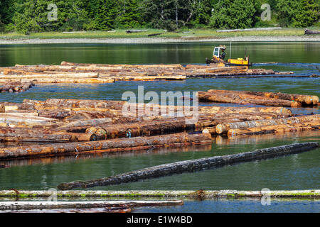 Una barca di apripista operatore ordina i registri in un braccio flottante a Kendrick braccio dump del registro sul British Columbia costa. Nessun consenso Foto Stock