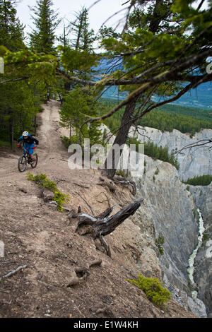 Un giovane maschio mountain biker in sella alla Moonraker cross country trail system vicino a Golden, BC Foto Stock