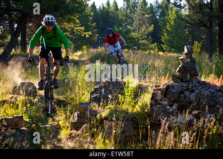 Due maschio mountain bike equitazione singletrack dolce. Fernie, BC Foto Stock