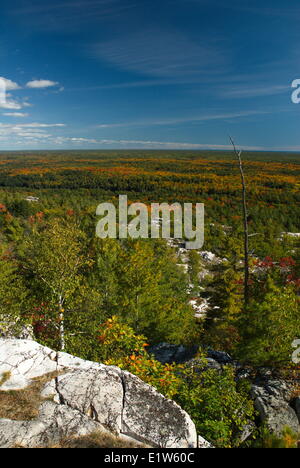 Vista autunnale dal crack sulla la cloche silhouette trail, Kilarney Parco provinciale, Ontario Foto Stock