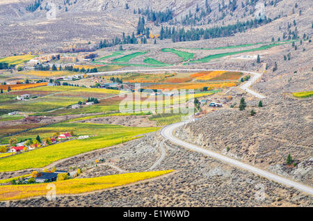 Case variopinti vigneti in autunno con autostrada numero 3 che conduce a Osoyoos Okanagan Valley della Columbia britannica in Canada. Foto Stock