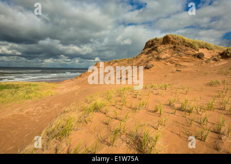 Dune di sabbia, Brackley Beach, Prince Edward Island National Park, Canada Foto Stock