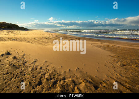 Costa, Gulf Shore Parkway, Brackley, Prince Edward Island National Park, Canada Foto Stock