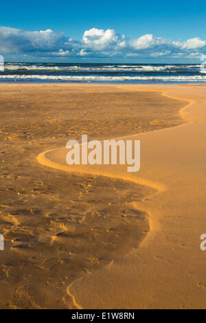 Costa, Gulf Shore Parkway, Brackley, Prince Edward Island National Park, Canada Foto Stock