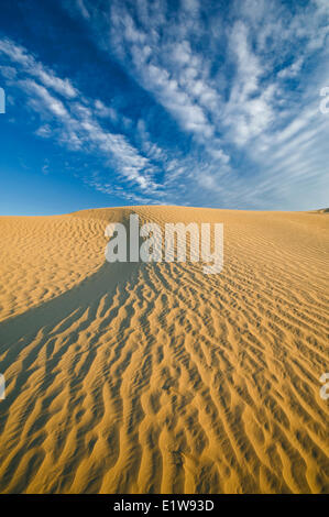 Il grande Sandhills, vicino scettro, Saskatchewan, Canada Foto Stock
