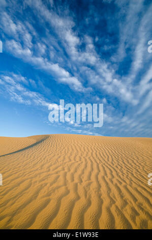 Il grande Sandhills, vicino scettro, Saskatchewan, Canada Foto Stock