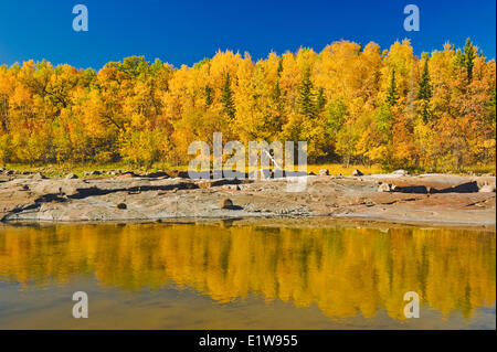 Precambrian shield roccia lungo il fiume Winnipeg con colori autunnali in background, vicino a sette sorelle, Manitoba, Canada Foto Stock