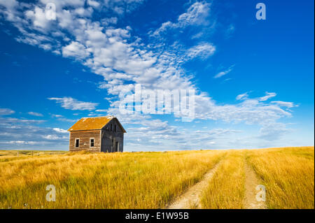 Abbandonato farm house, vicino Admiral, Saskatchewan, Canada Foto Stock