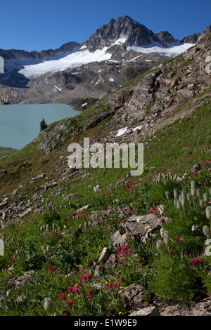 Pennello e picco di Russell sopra i laghi di calcare, altezza delle Rockies Parco Provinciale, British Columbia, Canada Foto Stock