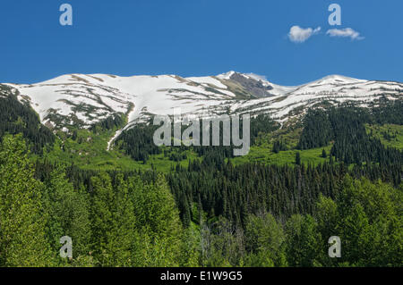 Coast Mountains lungo l Autostrada Stewart-Cassiar, British Columbia, Canada Foto Stock