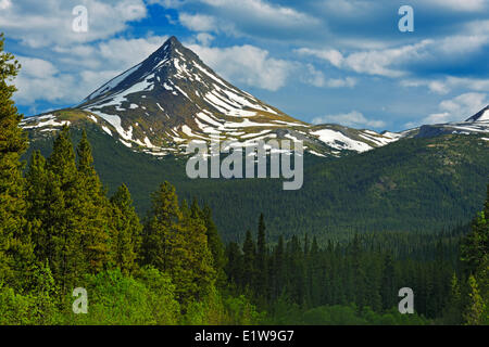 Cassiar montagne, vicino alla città di giada lungo l Autostrada Stewart-Cassiar, British Columbia, Canada Foto Stock