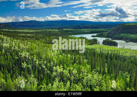 Cinque Dita Rapids lookout sul fiume di Yukon, Yukon, Canada Foto Stock