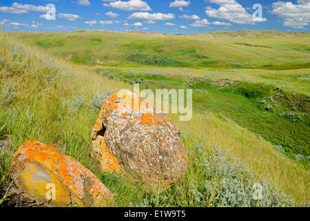 Rocce di arenaria su prairie in Killdeer Badlands, blocco orientale, praterie National Park, Saskatchewan, Canada Foto Stock