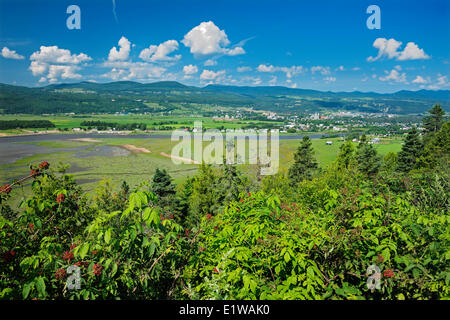 Vista di Baie-St-Paolo, San Giuseppe-de-la-Rive, Quebec, Canada Foto Stock